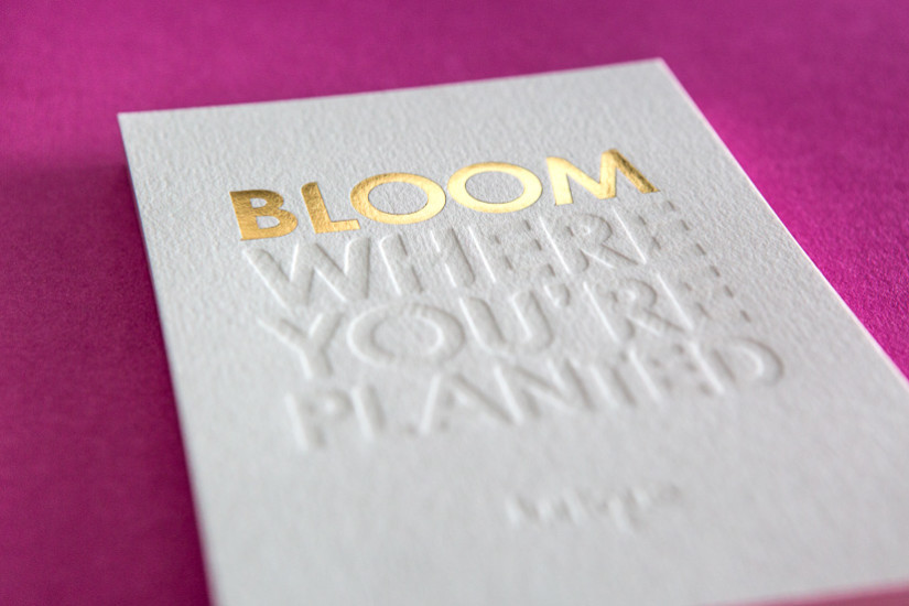 Bloom-3
