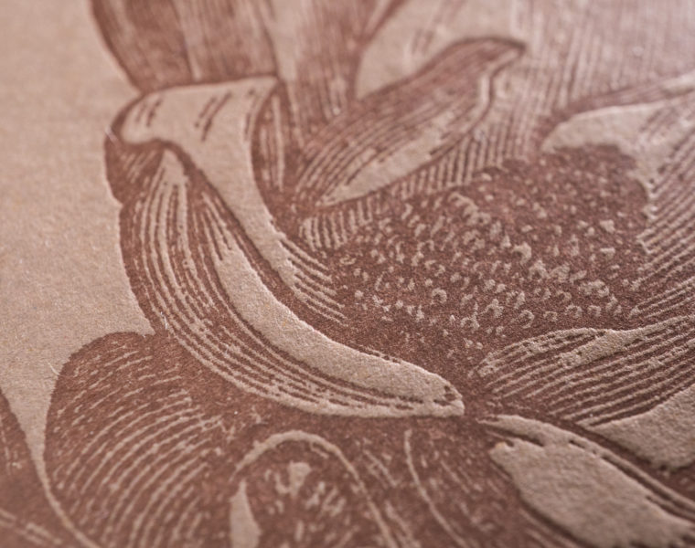 cel-david&peter-ga-1