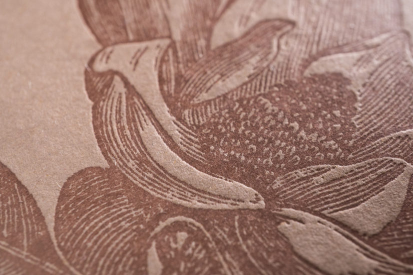 cel-david&peter-ga-1